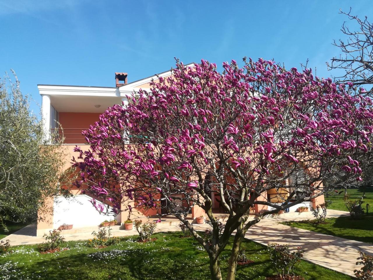B&B Carmela Умаг Экстерьер фото