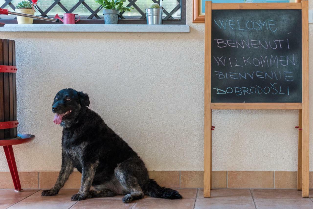 B&B Carmela Умаг Экстерьер фото